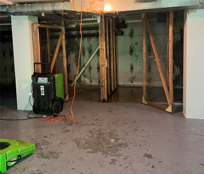 24/7 Water in Basement Cleanup Near Me in Harding Township, NJ