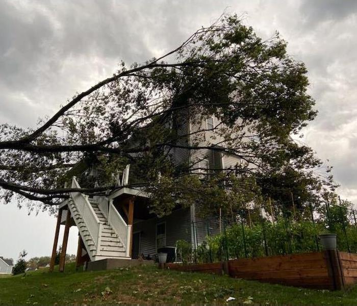photo of a large tree on top of a house after a tornado