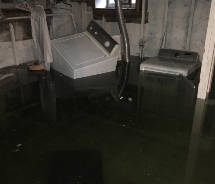 Water in basement cleanup near me in Madison, NJ.