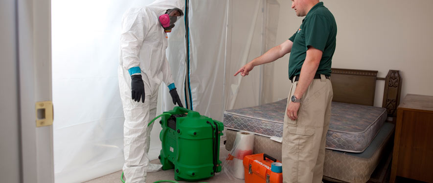Morristown, NJ mold removal process